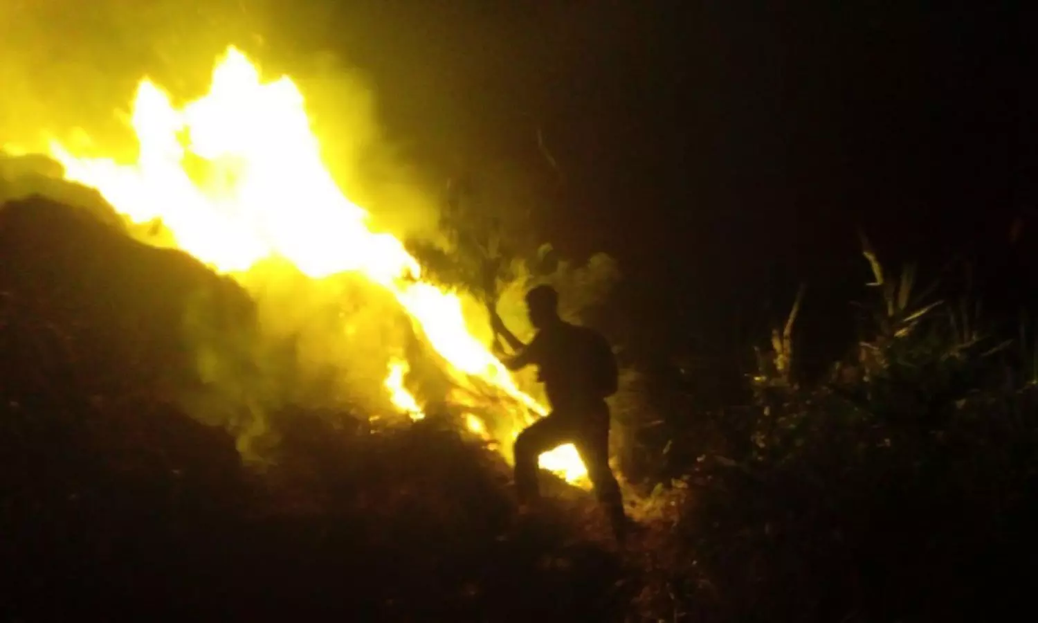 After battling for several hours, forest officials put out fire in Valparai