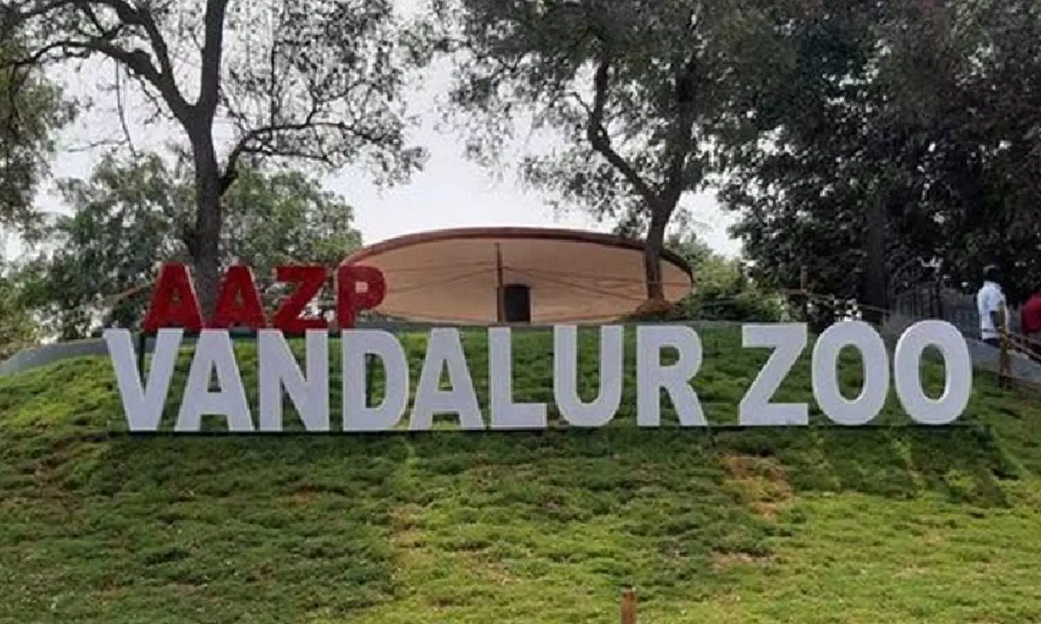 Vandalur zoo to remain open on Tuesday