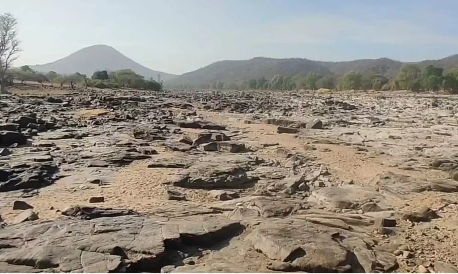 Summer: Scorching heat turns Hogenakkal falls into deserted rocks
