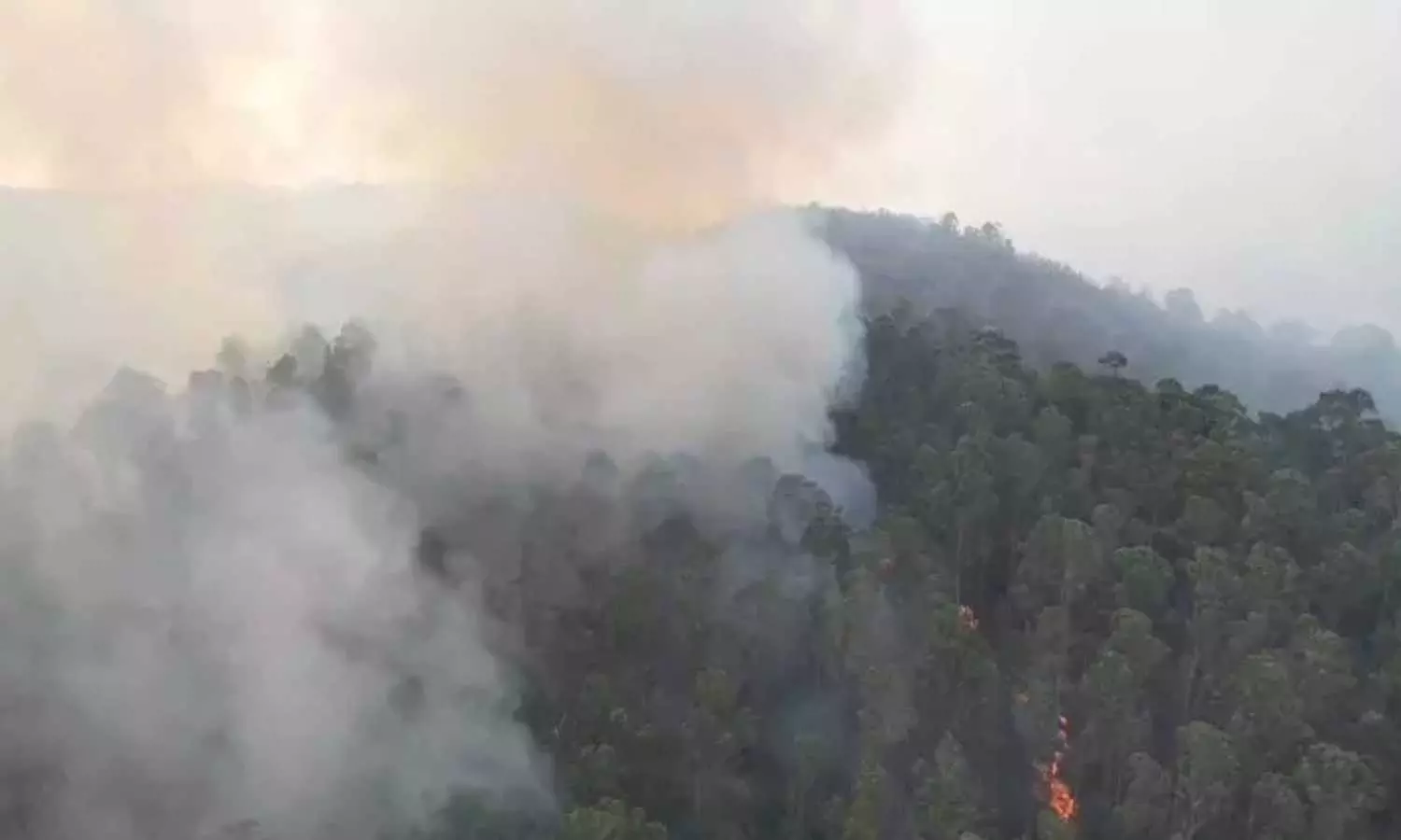 Wildfire continues to rage for 8th day in parts of upper hills in Kodaikanal