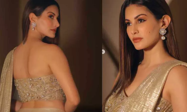 Amyra Dastur shimmers in a golden saree Amyra Dastur shimmers in a golden saree