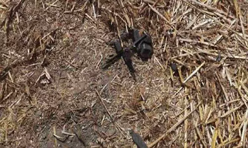 BSF recovers China made drone in Punjabs Tarn Taran
