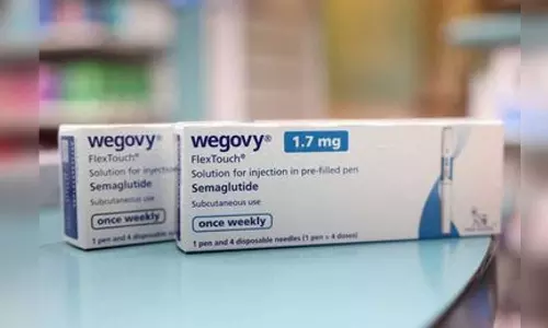 Obesity drugmaker Novo Nordisks Q1 profit beats forecast