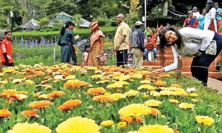 Kodaikanal hotel owners appeal to HC to reconsider order on e-pass system