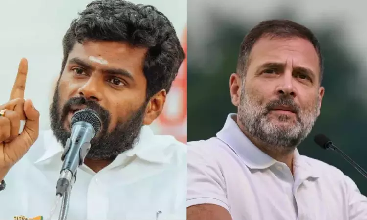 LS polls: Annamalai flays Congress for nominating Rahul Gandhi for Rae Bareli LS polls: Annamalai flays Congress for nominating Rahul Gandhi for Rae Bareli