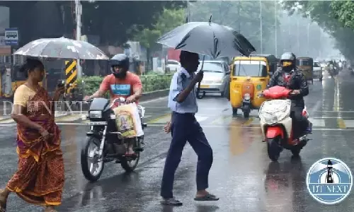 Rain cheers tourists to Kodai, falls and coconut growers