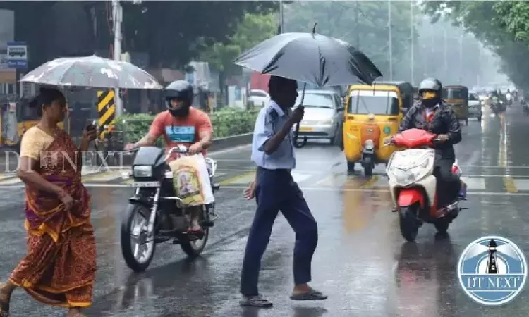 Rain cheers tourists to Kodai, falls and coconut growers