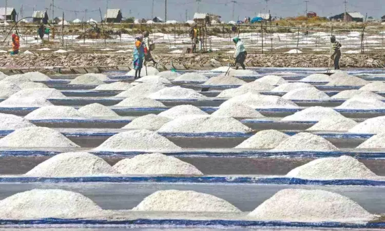 Rains dissolve hope of good salt harvest