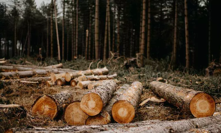 India lost 5 million farmland trees in five years: Research India lost 5 million farmland trees in five years: Research