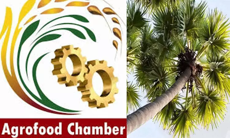 Agro Food Chamber to promote Palmyra Agro Food Chamber to promote Palmyra