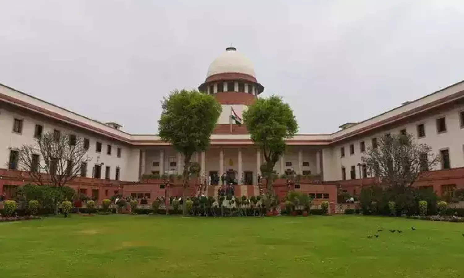 SC to consider pleas seeking review of verdict declining legal recognition to same-sex marriage