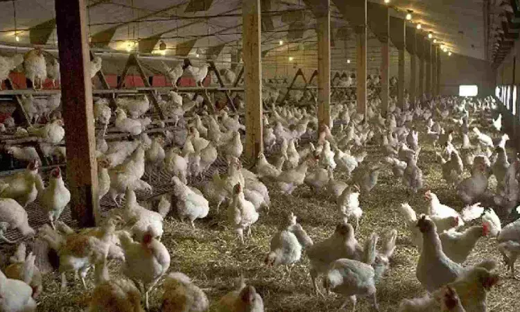 Summer effect? Price of chicken touches Rs 300 per kg in Chennai