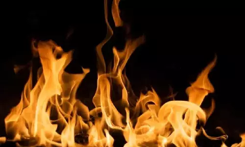 Fire engulfs pet shop in Kerala, killing around 100 birds, some rabbits and a few fish