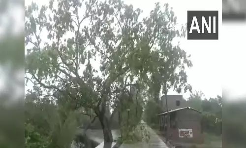 Cyclonic Storm Remal expected to weaken gradually: IMD