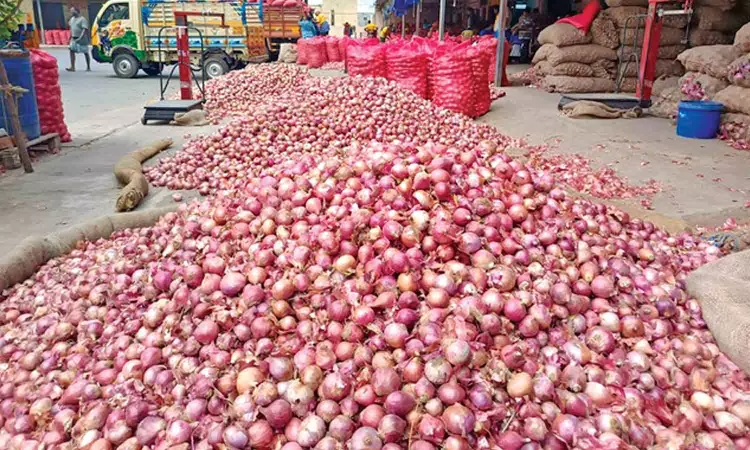Onion prices drop in major cities after retail selling at subsidised rate: Centre Onion prices drop in major cities after retail selling at subsidised rate: Centre