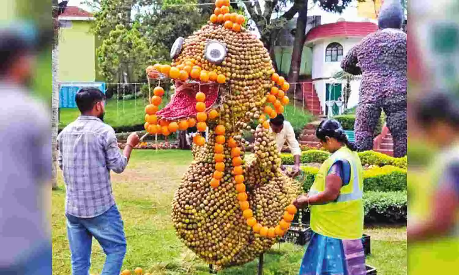 Tourists complain of high entry fee at Coonoor Sims Park