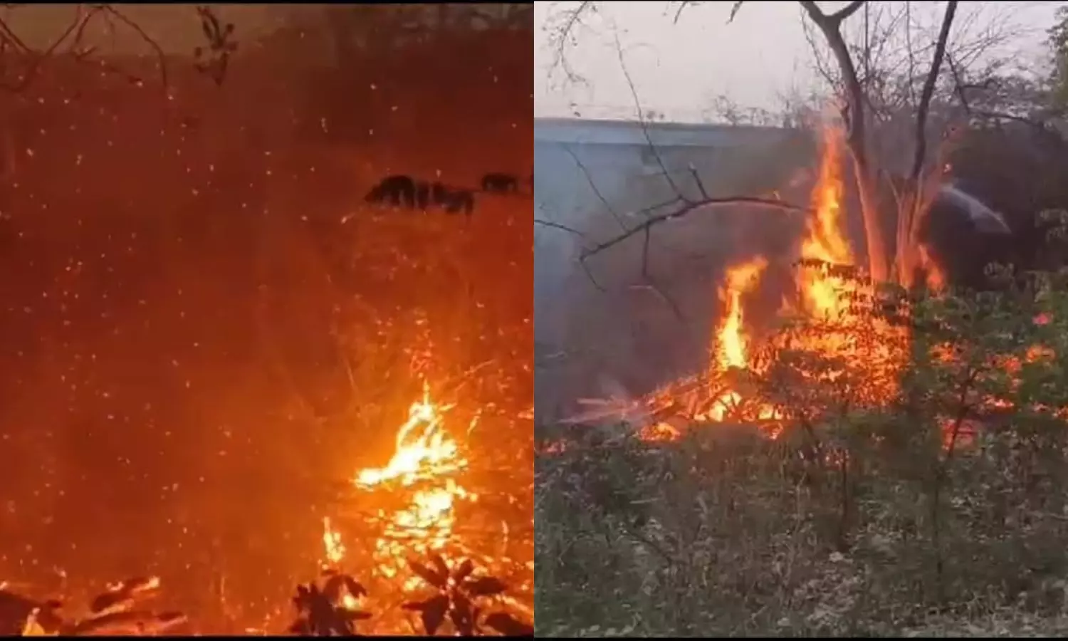 Fire breaks out near Meenambakkam Railway Station, spreads to rail tracks due to high temperature