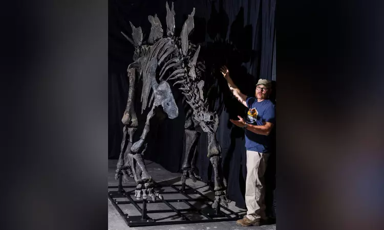 Fossile Fuelled: Apex, the Largest Stegosaurus Fossil Ever Found, Heads to Auction Fossile Fuelled: Apex, the Largest Stegosaurus Fossil Ever Found, Heads to Auction