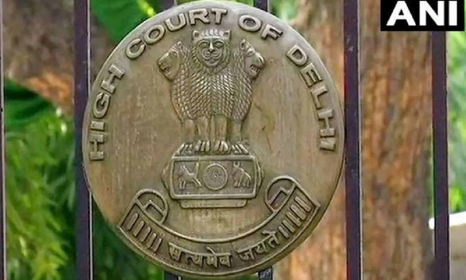 Ensure marriage witnesses are genuine: HC tells Arya Samaj Mandir