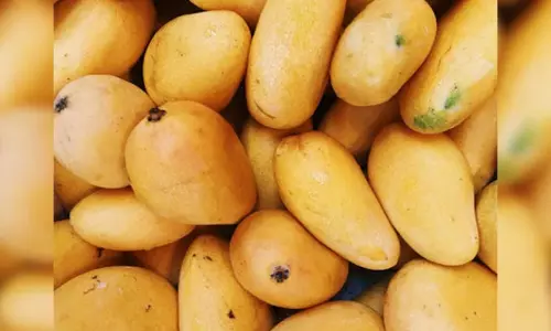 Beat the heat: 5 irresistibly refreshing mango drinks to try this summer!