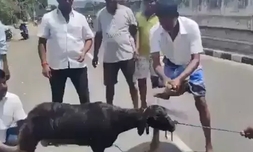 BJP seeks action against video of slaying goat with Annamalai’s photo