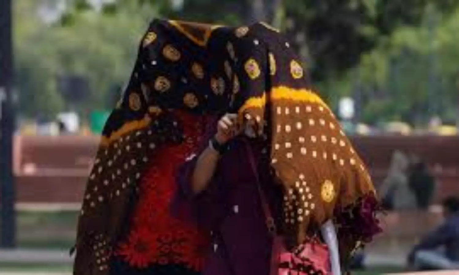May heat wave in India 1.5 degrees Celsius warmer than previous extremes May heat wave in India 1.5 degrees Celsius warmer than previous extremes
