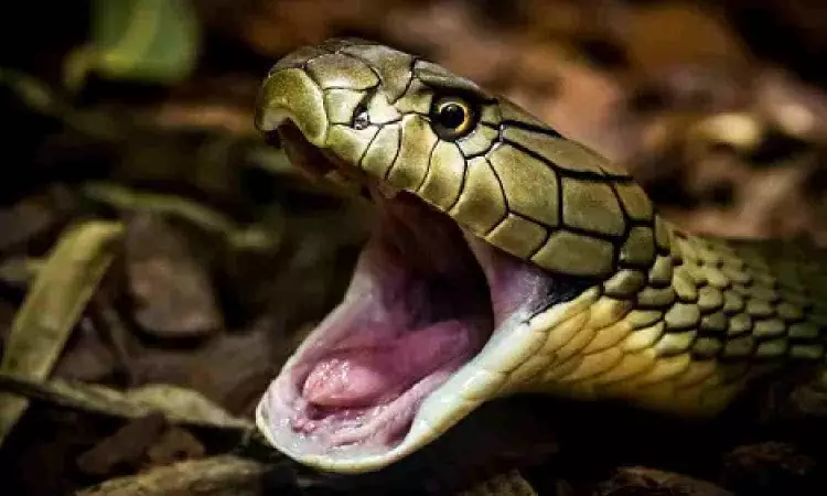 Indonesian woman who went missing found inside a python after 3 days Indonesian woman who went missing found inside a python after 3 days
