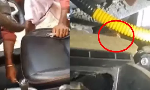 4-ft cobra hides inside car in Mayiladuthurai, efforts on to catch it