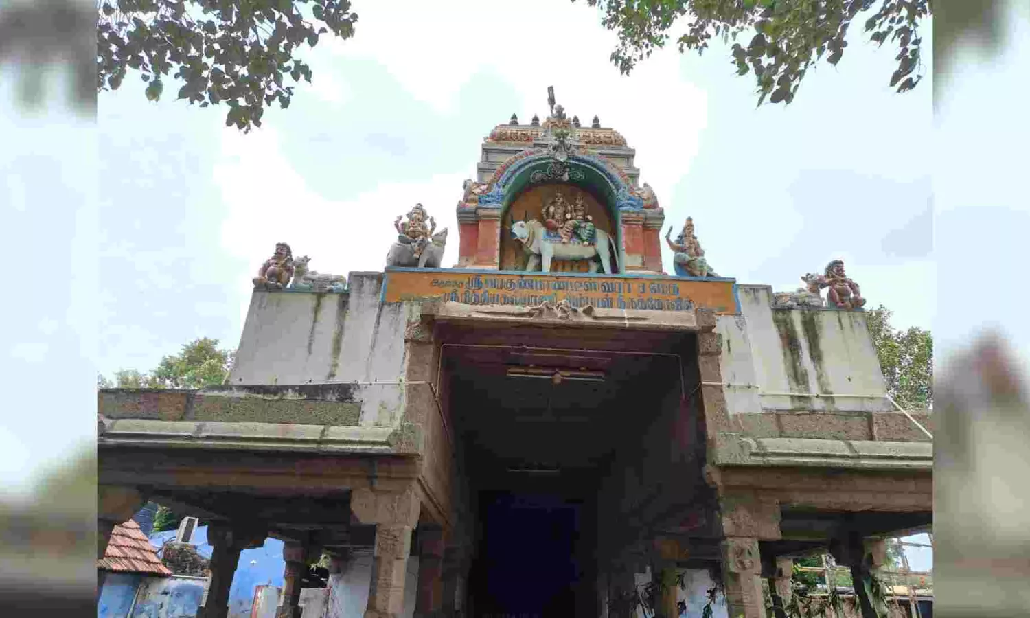 Madras HC directs TN govt to file counter on Varaguna Pandeeswarar temple land encroachment allegation Madras HC directs TN govt to file counter on Varaguna Pandeeswarar temple land encroachment allegation