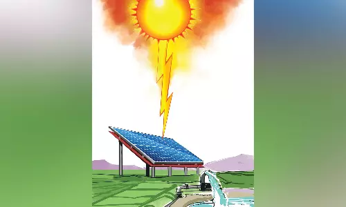 Saddled with debt, Tangedco eyes virtual metering to pare loss from farm power supply