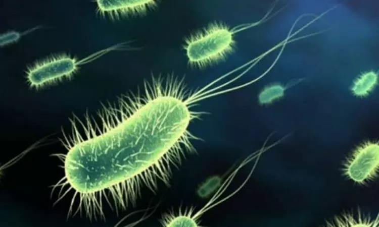 Unlocking the Secrets of the Small Intestine Microbiome Unlocking the Secrets of the Small Intestine Microbiome