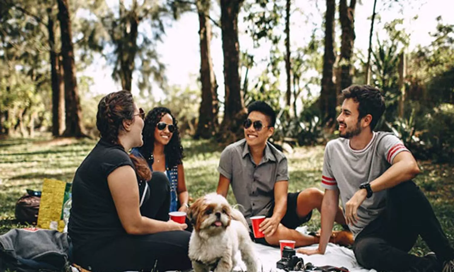 Picnic bliss: 5 wholesome meal ideas to elevate your outdoor dining experience