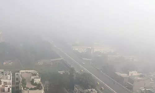 Air pollution amplifies heart disease risk in cancer patients, research reveals