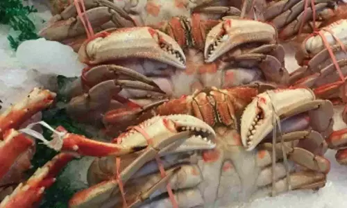 Indias seafood exports scale record high, US & China top buyers