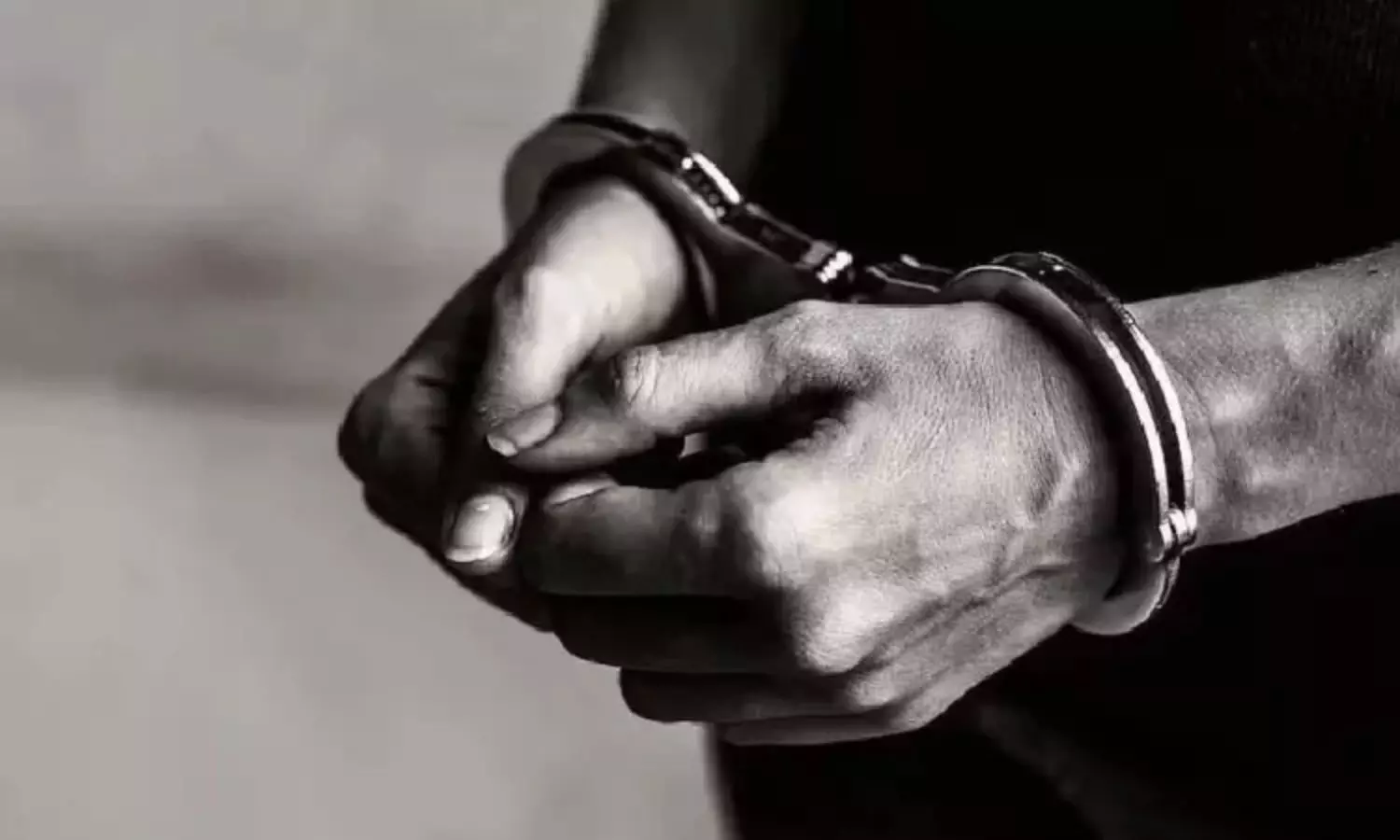Buffalo attack: Chennai police arrest father, son