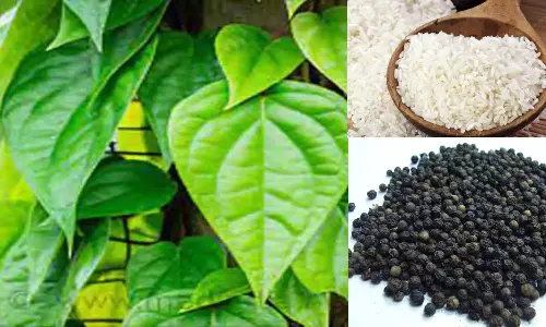 Tamil Nadu govt eyes GI tags for 10 agricultural products