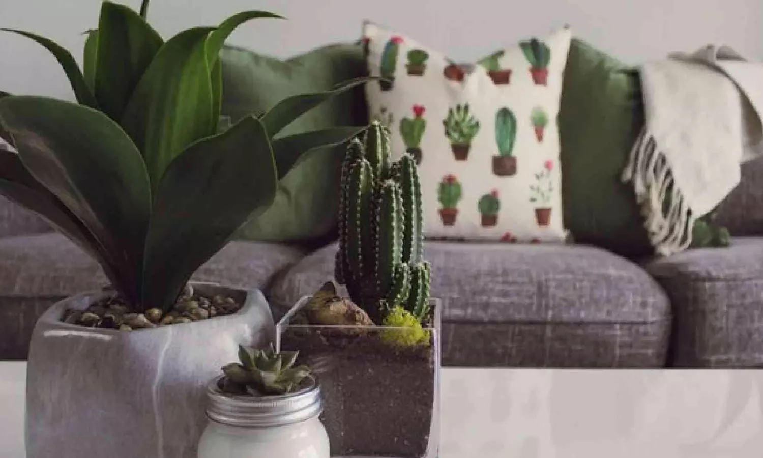 Elevate your home: 5 must-have aesthetics for a stunning living space