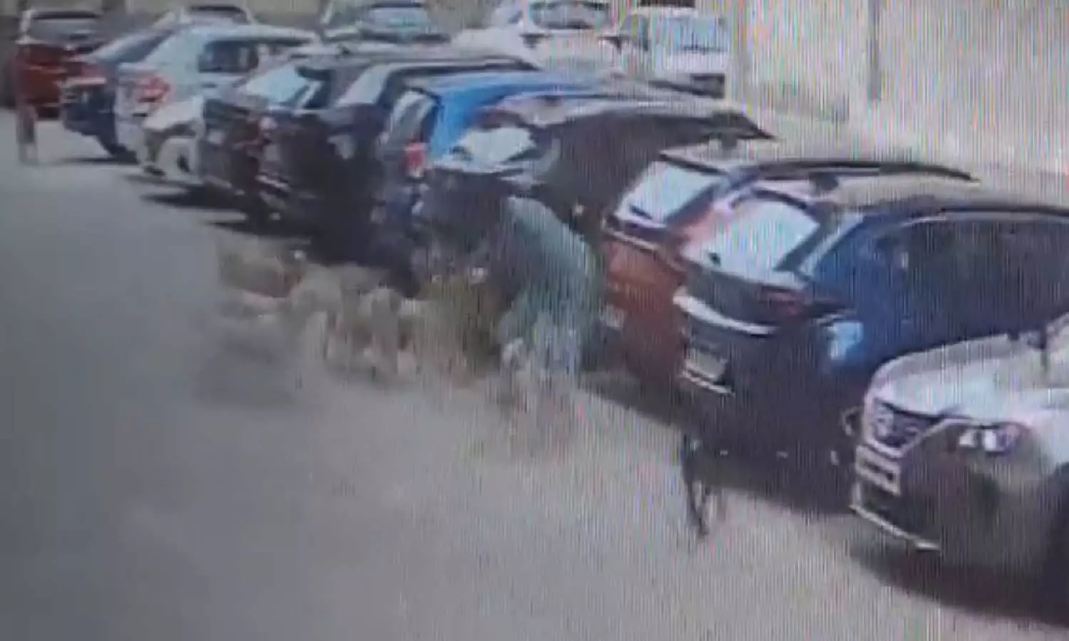 Woman escapes pack of street dogs in Hyderabad, husband posts video online to raise awareness Woman escapes pack of street dogs in Hyderabad, husband posts video online to raise awareness
