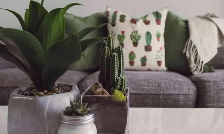 Elevate your home: 5 must-have aesthetics for a stunning living space Elevate your home: 5 must-have aesthetics for a stunning living space
