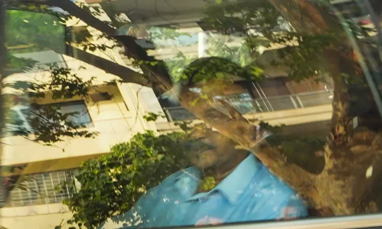 Delhi excise case: Kejriwal moves SC against HCs interim stay on bail order