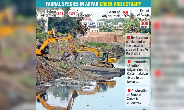 Restoration works breathe life into Adyar Creek and Estuary Restoration works breathe life into Adyar Creek and Estuary