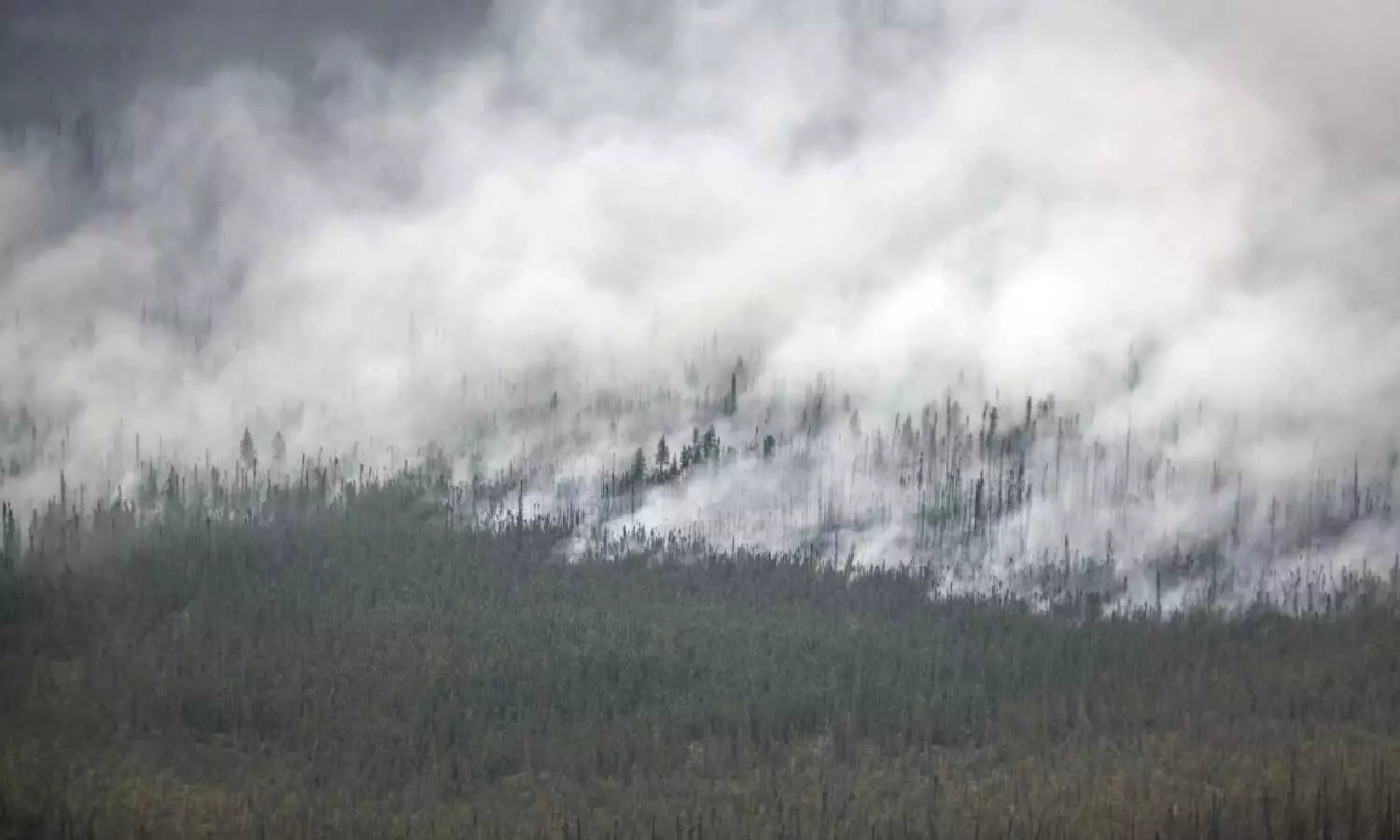Canadas 2023 wildfires burned huge chunks of forest, spewing far more heat-trapping gas than planes