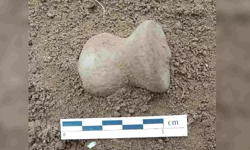 Tamil Nadu: Archaeologists unearths flint seal at Sennanur site