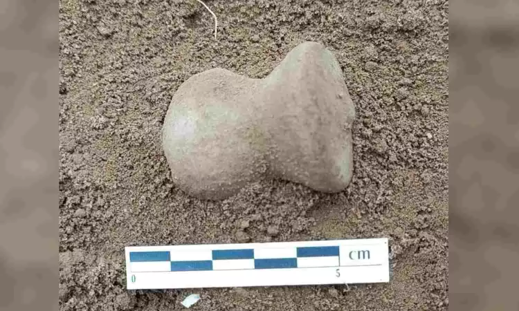 Tamil Nadu: Archaeologists unearths flint seal at Sennanur site
