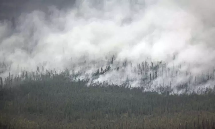 Canadas 2023 wildfires burned huge chunks of forest, spewing far more heat-trapping gas than planes