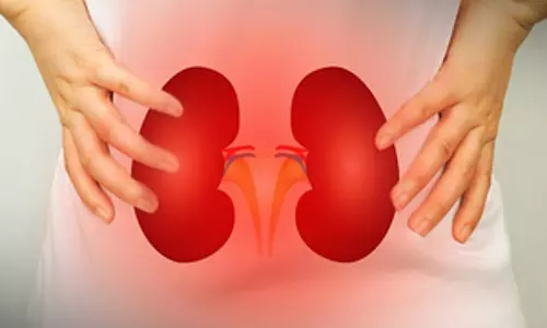 Low salt, less body fluids may help regenerate certain kidney cells: Study Low salt, less body fluids may help regenerate certain kidney cells: Study