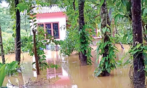 Heavy rain pounds Pandalur and Gudalur taluks in the Nilgiris