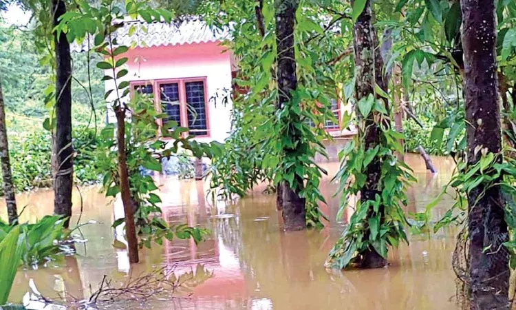 Heavy rain pounds Pandalur and Gudalur taluks in the Nilgiris
