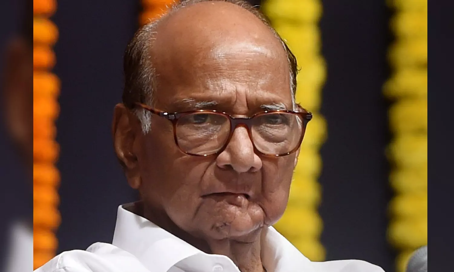 Congress, Sena (UBT) and NCP (SP) to jointly contest Maharashtra polls: Pawar