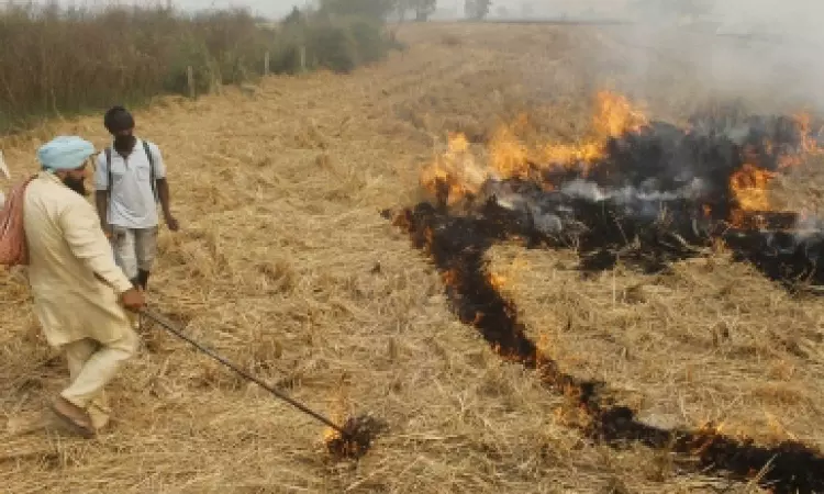 Nearly half of Punjab’s crop residue machine users continue to burn loose straw: Study